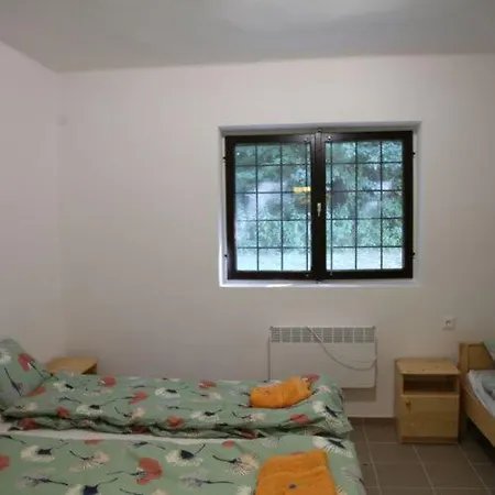 Guest house Garamszegi Szajki Vendeghaz *