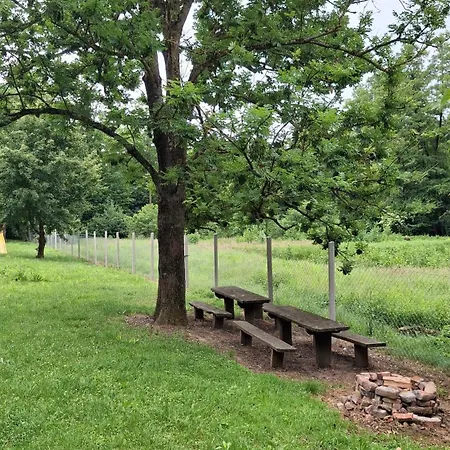 Garamszegi Szajki Hosszupereszteg