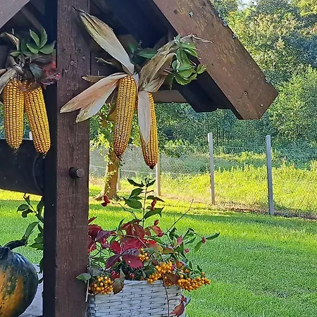 Affittacamere Garamszegi Szajki
